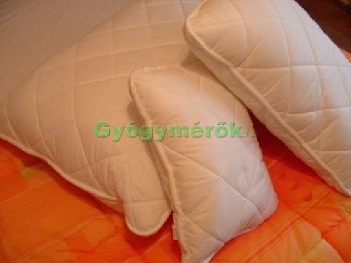 Image of Antiallergén párna -60x80 - Steppelt